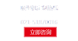 上海WWW.91N.COM自動化機械有（yǒu）限（xiàn）公司