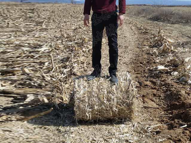 麥子秸稈回收（shōu）打捆機整體剛性好，機器維護保（bǎo）養方便快捷