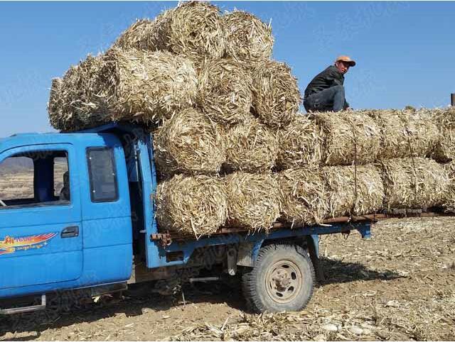 專用青貯塑料網捆包，自動（dòng）下網，自動捆包，自動切網（wǎng）