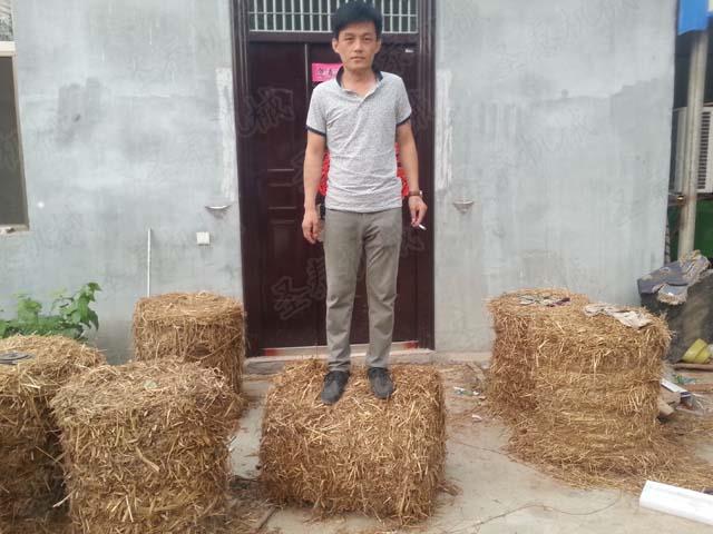 稻（dào）草撿拾打捆機的使用增加農民收（shōu）入，打（dǎ）好後的草捆易於銷售