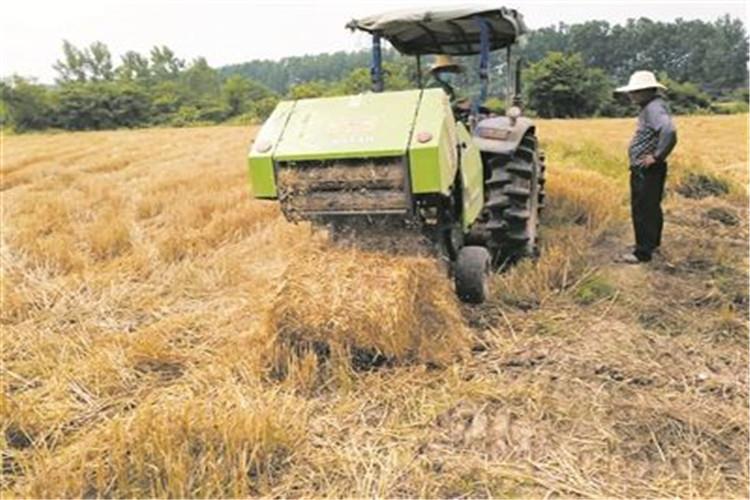 定時齒輪、曲軸和飛輪、連（lián）杆和連杆蓋、成套（tào）加工或選配之偶合零件，以及其它不可互換的零件